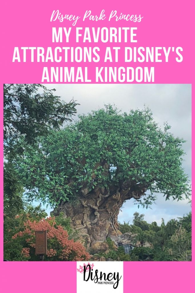 favorite attractions disney's animal kingdom