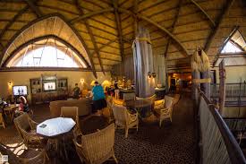 Club Level Lounge at Animal Kingdom Lodge at Walt Disney World
