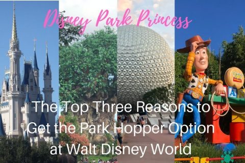 Featured Image For Park Hopper Post 480x320 