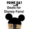 Amazon Prime Day is the perfect time to stock up on items for your Disney vacation! #PrimeDay #Amazon #Disney #Disneymusthaves