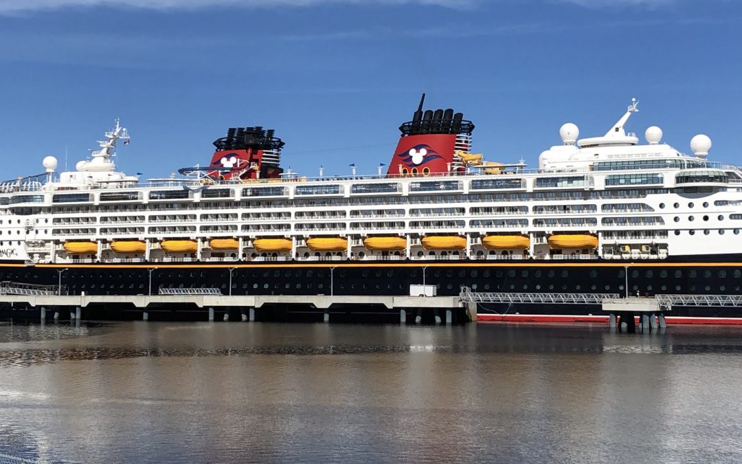 4 Fun Items to Combat My Disney Cruise Withdrawal