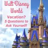 Walt Disney World is open - hooray! But wait.. we are still in the middle of a pandemic! Should you cancel your Walt Disney World vacation? Ask yourself these 5 questions first! #waltdisneyworld #disneyworld #pandemic #disneyadvice #disneytips 