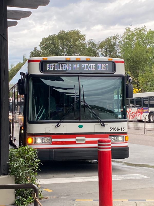 How to Get Around Walt Disney World Bus