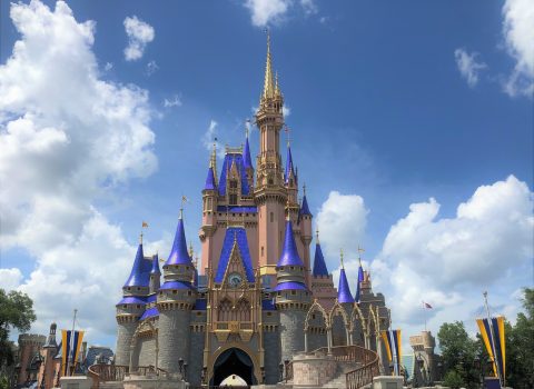 Use Lightning Lane For These 5 Attractions At Magic Kingdom