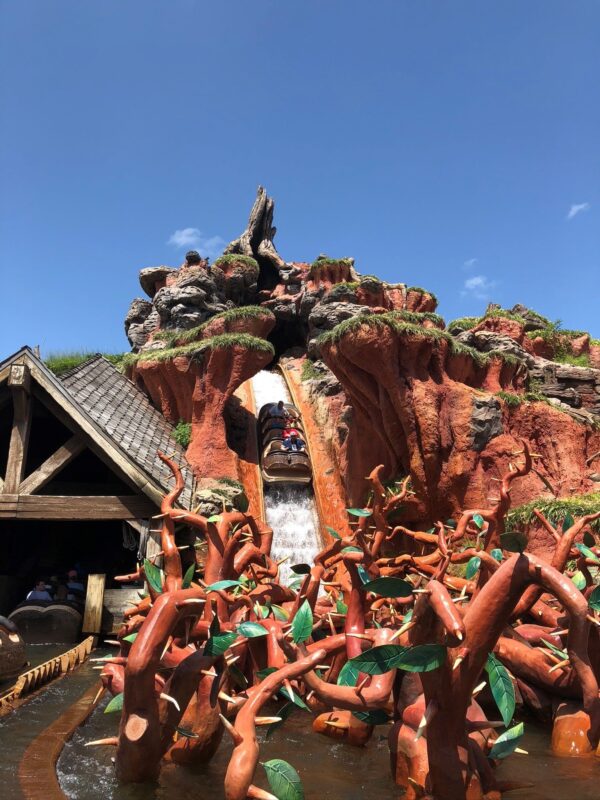 splash mountain magic kingdom walt disney world lightning lane